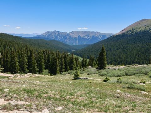 Rozkvetlými loukami přes Searle Pass