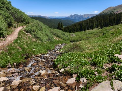 Rozkvetlými loukami přes Searle Pass