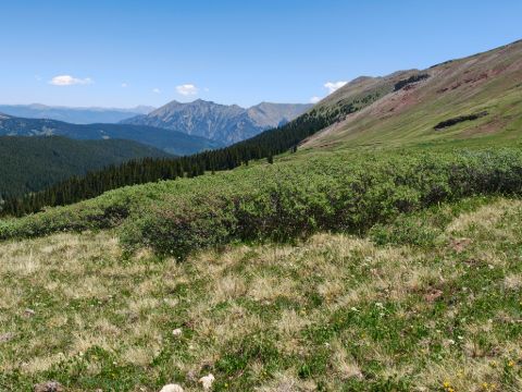 Rozkvetlými loukami přes Searle Pass
