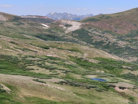 Rozkvetlými loukami přes Searle Pass