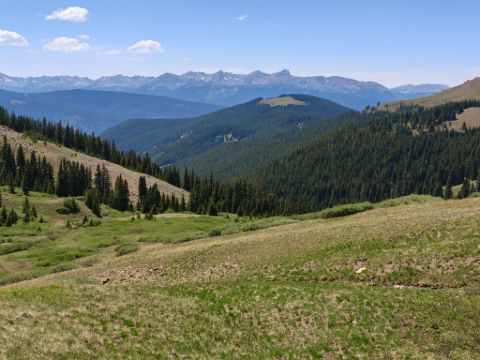 Rozkvetlými loukami přes Searle Pass