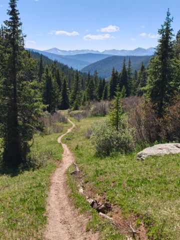 Rozkvetlými loukami přes Searle Pass