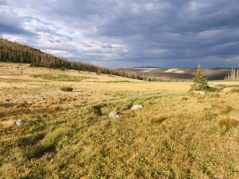 Kousek za Spring Creek Pass