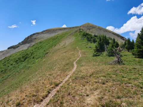 Poslední den ve výškách u Taylor lake