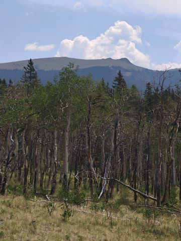Pohodová cesta ke Kenosha pass