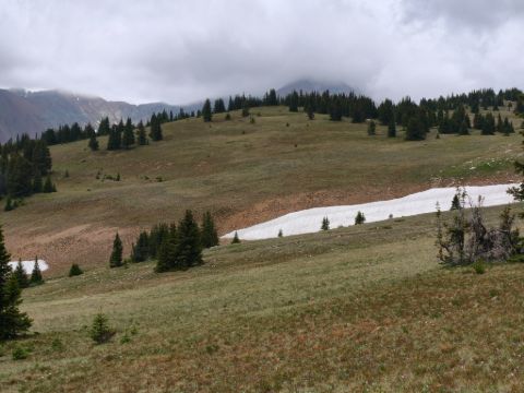 Poprvé nad hranicí lesa - Georgia pass