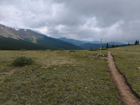 Poprvé nad hranicí lesa - Georgia pass