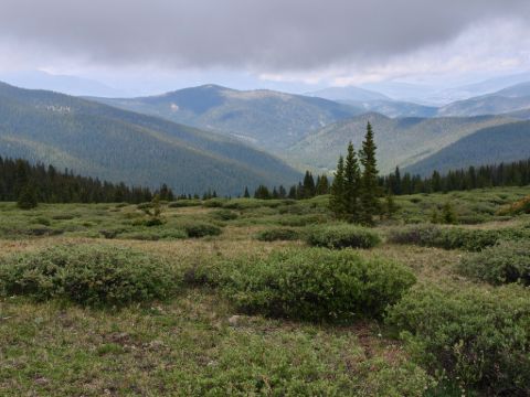 Poprvé nad hranicí lesa - Georgia pass
