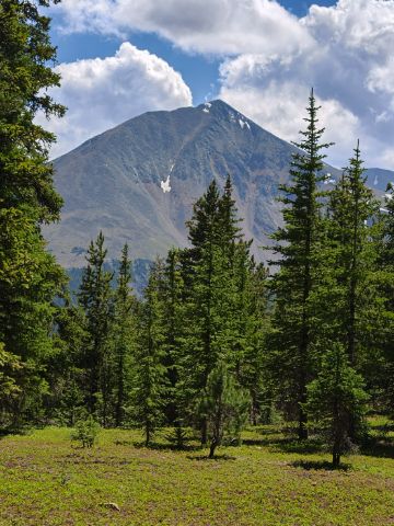 Poprvé nad hranicí lesa - Georgia pass
